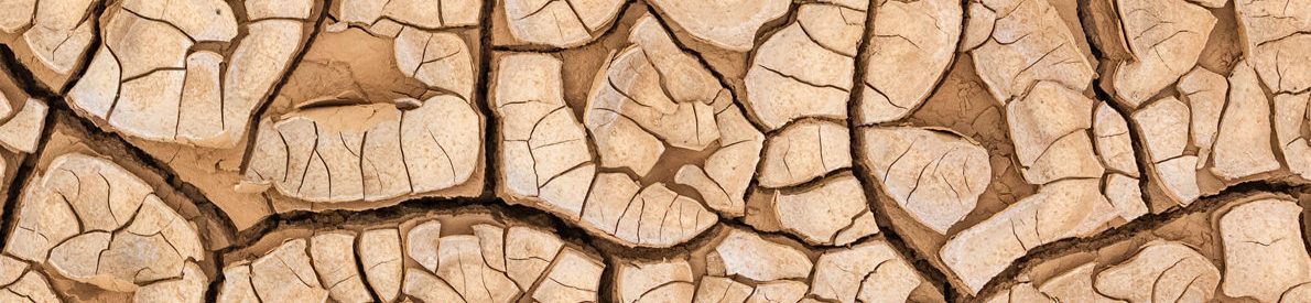 scanninganddatacapture